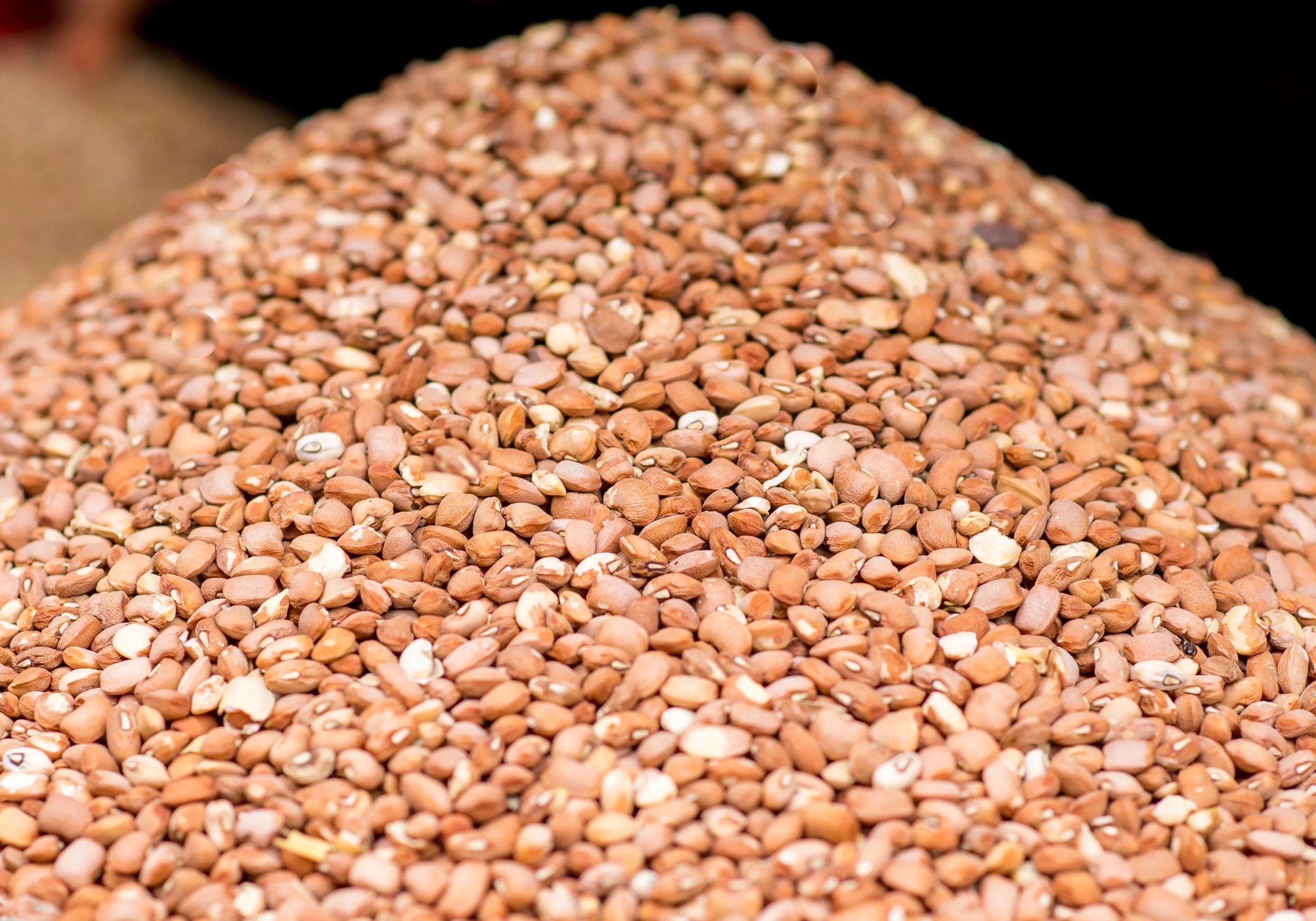 Picked (Oloyin) Beans (Per congo - 1.7kg)'s photo