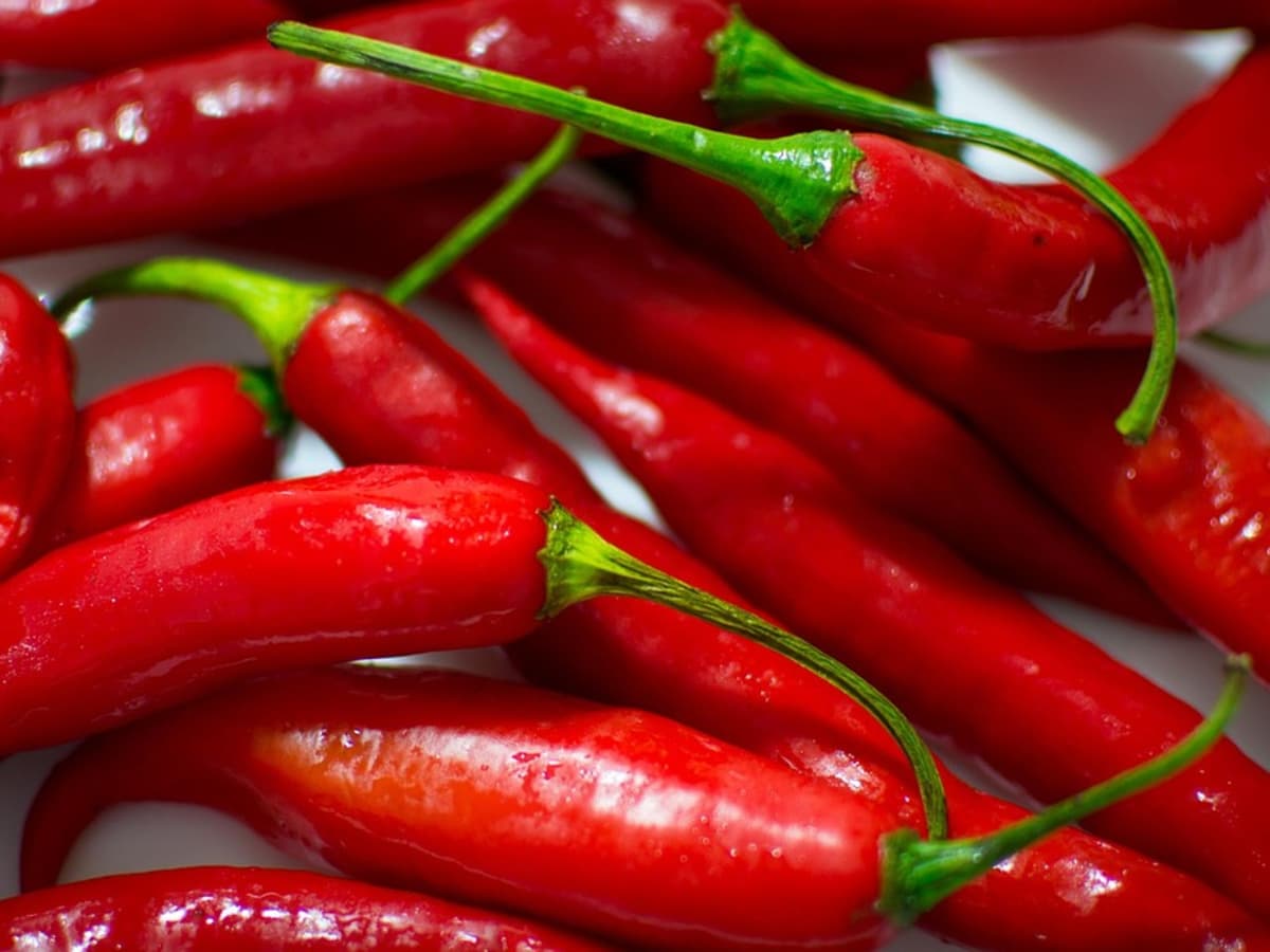 Bawa/Sombo (Cayenne) Pepper (per 100g)'s photo