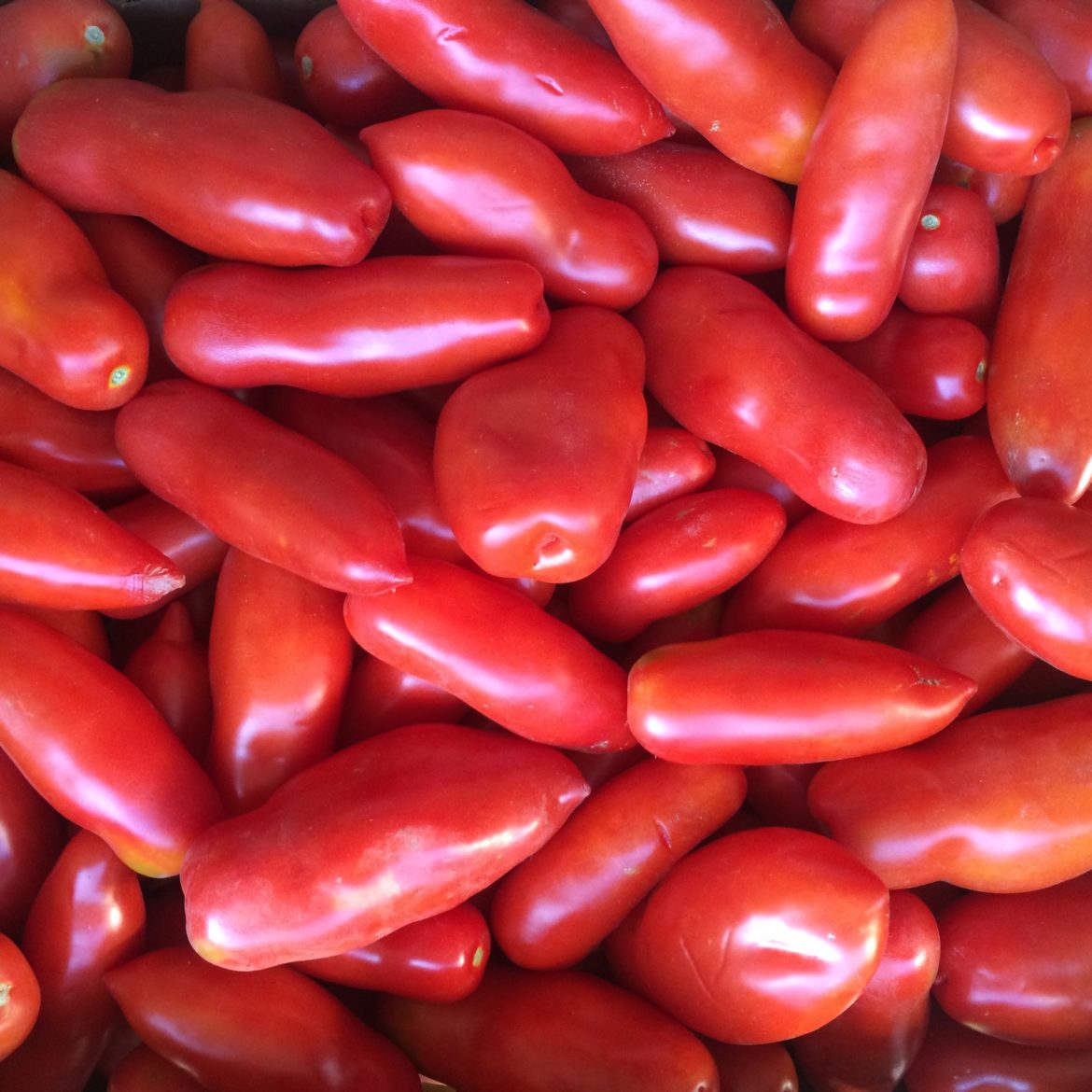 Yoruba Tomatoes (Per 200g)'s photo